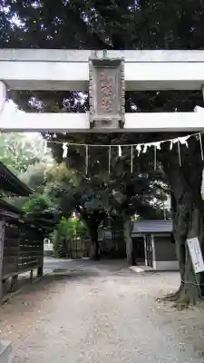 杵築大社の鳥居