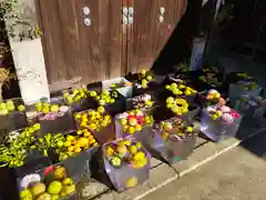 川越八幡宮(埼玉県)