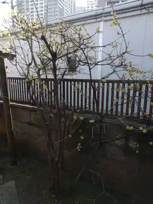 倉屋敷稲荷神社(埼玉県)