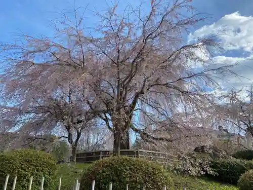 八坂神社(祇園さん)の庭園