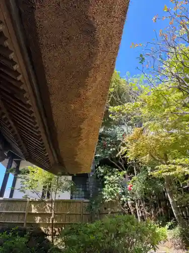 杉本寺の{uncategorized: "未分類", other: "その他", undefined: "問題あり", building: "その他建物", grave: "お墓", sacred_gate: "鳥居", guardian: "狛犬", statue: "像", buddha: "仏像", history: "歴史", nature: "自然", garden: "庭園", animal: "動物", pagoda: "塔", temizu: "手水舎", mountain_gate: "山門・神門", sanctuary: "本殿・本堂", subordinate: "末社・摂社", art: "芸術", scenery: "景色", jizo: "地蔵", ema: "絵馬", goshuin: "御朱印", omikuji: "おみくじ", items: "授与品その他", amulet: "お守り", goshuincho: "御朱印帳", eats: "食事", festival: "お祭り", votive_dance: "神楽", shichigosan: "七五三参", wedding: "結婚式", experience: "体験その他", initially: "初詣", around: "周辺", anti_infection: "感染症対策"}