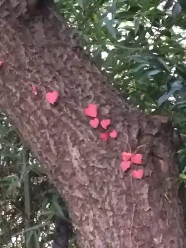 町田天満宮の自然