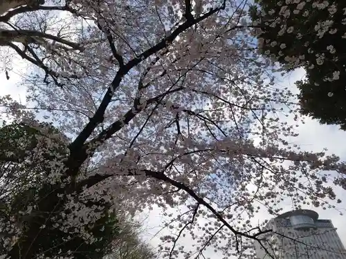 白山神社の自然