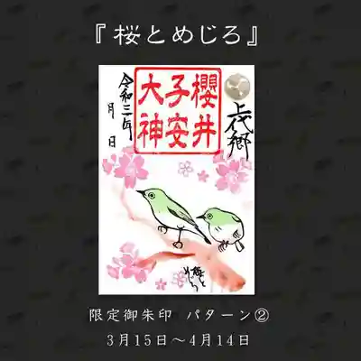 綺麗に咲いた桜にやってきためじろの様子です。
暖かい春の日を感じて頂けたらと思います。