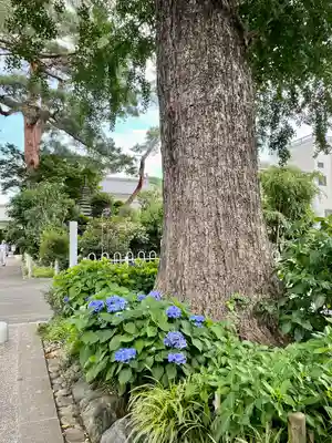 禅林寺(東京都)