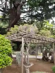 東光寺の自然