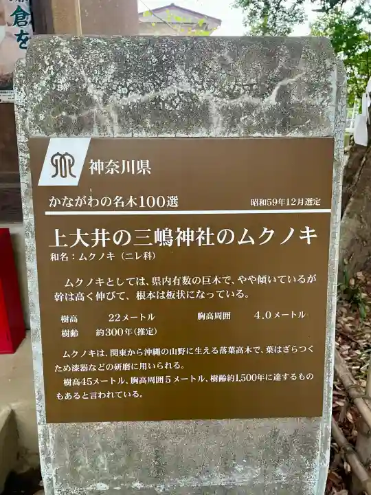 三嶋神社(神奈川県)