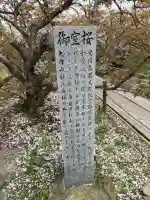 仁和寺の{uncategorized: "未分類", other: "その他", undefined: "問題あり", building: "その他建物", grave: "お墓", sacred_gate: "鳥居", guardian: "狛犬", statue: "像", buddha: "仏像", history: "歴史", nature: "自然", garden: "庭園", animal: "動物", pagoda: "塔", temizu: "手水舎", mountain_gate: "山門・神門", sanctuary: "本殿・本堂", subordinate: "末社・摂社", art: "芸術", scenery: "景色", jizo: "地蔵", ema: "絵馬", goshuin: "御朱印", omikuji: "おみくじ", items: "授与品その他", amulet: "お守り", goshuincho: "御朱印帳", eats: "食事", festival: "お祭り", votive_dance: "神楽", shichigosan: "七五三参", wedding: "結婚式", experience: "体験その他", initially: "初詣", around: "周辺", anti_infection: "感染症対策"}