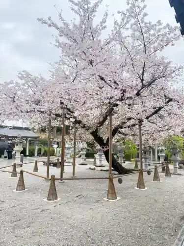 伊和志津神社の{uncategorized: "未分類", other: "その他", undefined: "問題あり", building: "その他建物", grave: "お墓", sacred_gate: "鳥居", guardian: "狛犬", statue: "像", buddha: "仏像", history: "歴史", nature: "自然", garden: "庭園", animal: "動物", pagoda: "塔", temizu: "手水舎", mountain_gate: "山門・神門", sanctuary: "本殿・本堂", subordinate: "末社・摂社", art: "芸術", scenery: "景色", jizo: "地蔵", ema: "絵馬", goshuin: "御朱印", omikuji: "おみくじ", items: "授与品その他", amulet: "お守り", goshuincho: "御朱印帳", eats: "食事", festival: "お祭り", votive_dance: "神楽", shichigosan: "七五三参", wedding: "結婚式", experience: "体験その他", initially: "初詣", around: "周辺", anti_infection: "感染症対策"}