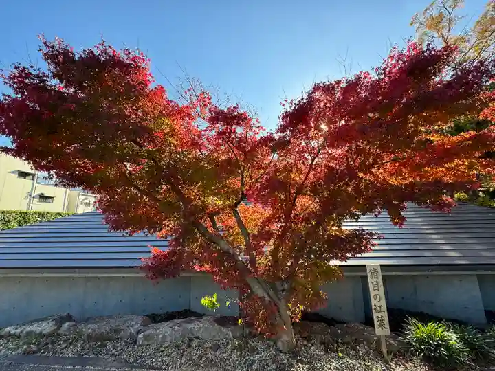 伊勢の国 四天王寺(三重県)