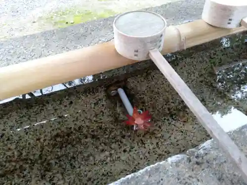 新屋坐天照御魂神社の手水