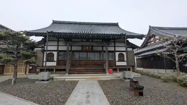 海蔵院の{uncategorized: "未分類", other: "その他", undefined: "問題あり", building: "その他建物", grave: "お墓", sacred_gate: "鳥居", guardian: "狛犬", statue: "像", buddha: "仏像", history: "歴史", nature: "自然", garden: "庭園", animal: "動物", pagoda: "塔", temizu: "手水舎", mountain_gate: "山門・神門", sanctuary: "本殿・本堂", subordinate: "末社・摂社", art: "芸術", scenery: "景色", jizo: "地蔵", ema: "絵馬", goshuin: "御朱印", omikuji: "おみくじ", items: "授与品その他", amulet: "お守り", goshuincho: "御朱印帳", eats: "食事", festival: "お祭り", votive_dance: "神楽", shichigosan: "七五三参", wedding: "結婚式", experience: "体験その他", initially: "初詣", around: "周辺", anti_infection: "感染症対策"}