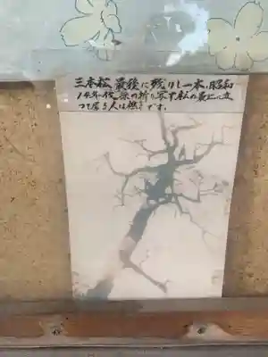 三本松不動院の歴史