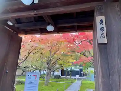 黄梅院の山門・神門