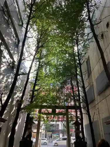 花園神社の自然