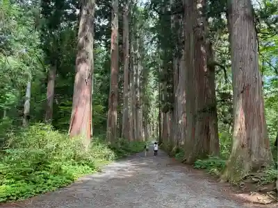 戸隠神社奥社(長野県)