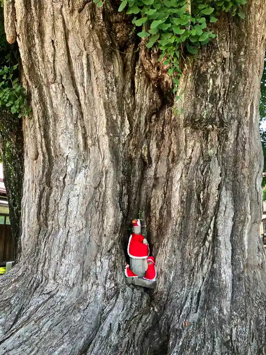飛騨国分寺(岐阜県)
