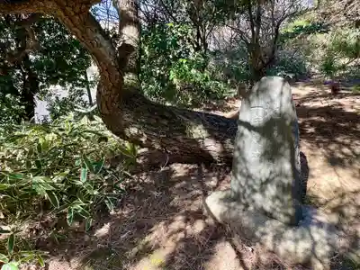 瑠璃光院薬師堂(東京都)