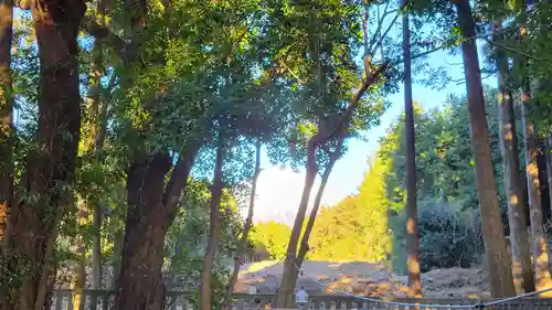 山宮浅間神社の自然