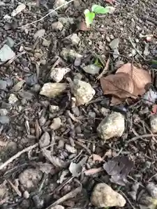 法源寺の自然(2019年08月31日(土) 08時46分03秒投稿)