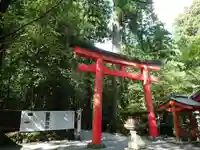 箱根神社の鳥居