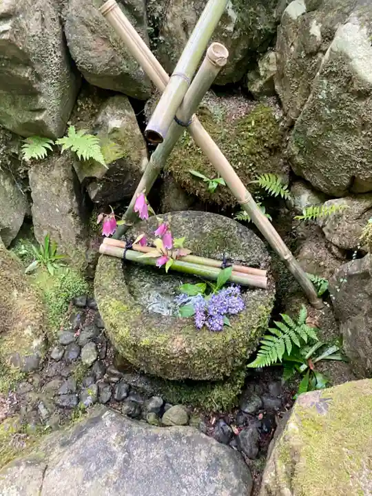 白龍神社の手水舎