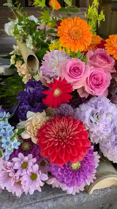 勝林寺(京都府)