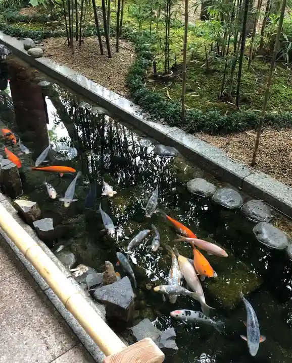 秩父神社(埼玉県)