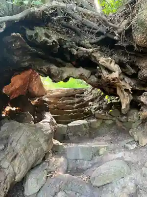 大山祇神社奥の院 生樹の御門(愛媛県)