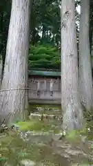 売布神社の自然