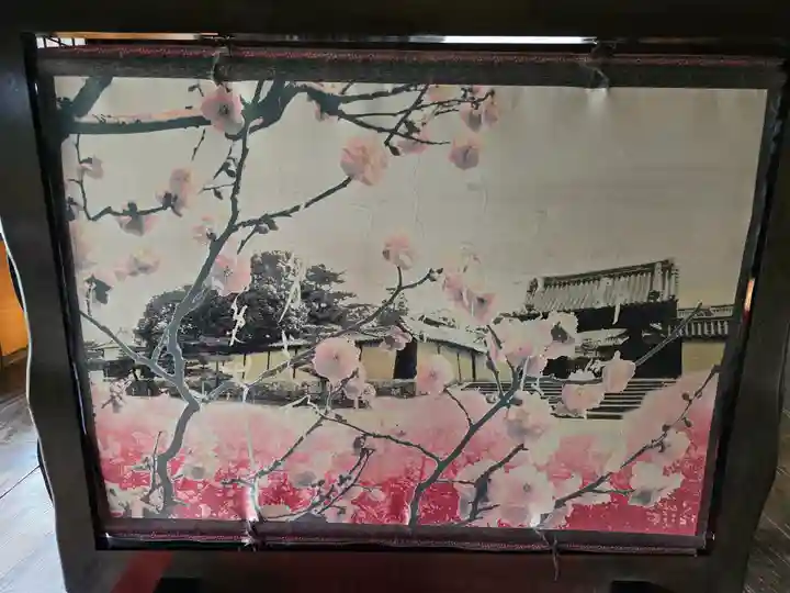 隨心院(随心院)(京都府)