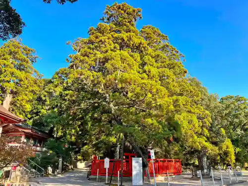 香椎宮(福岡県)