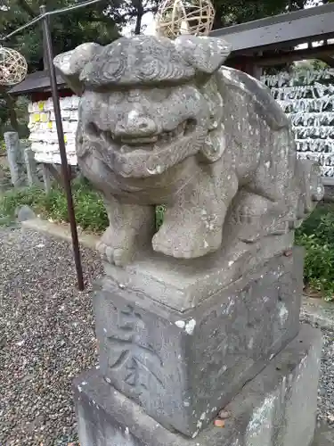 菊田神社の狛犬