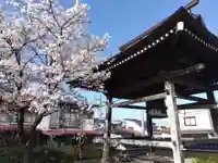 井波園瑞泉寺(新潟県)