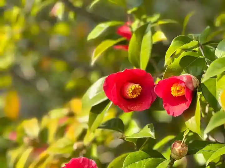 満月寺(浮御堂)の{uncategorized: "未分類", other: "その他", undefined: "問題あり", building: "その他建物", grave: "お墓", sacred_gate: "鳥居", guardian: "狛犬", statue: "像", buddha: "仏像", history: "歴史", nature: "自然", garden: "庭園", animal: "動物", pagoda: "塔", temizu: "手水舎", mountain_gate: "山門・神門", sanctuary: "本殿・本堂", subordinate: "末社・摂社", art: "芸術", scenery: "景色", jizo: "地蔵", ema: "絵馬", goshuin: "御朱印", omikuji: "おみくじ", items: "授与品その他", amulet: "お守り", goshuincho: "御朱印帳", eats: "食事", festival: "お祭り", votive_dance: "神楽", shichigosan: "七五三参", wedding: "結婚式", experience: "体験その他", initially: "初詣", around: "周辺", anti_infection: "感染症対策"}