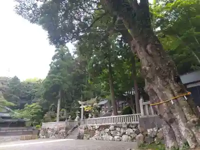 佐伎治神社(福井県)