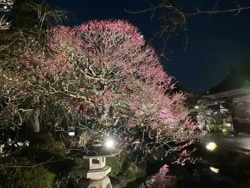 長谷寺の{uncategorized: "未分類", other: "その他", undefined: "問題あり", building: "その他建物", grave: "お墓", sacred_gate: "鳥居", guardian: "狛犬", statue: "像", buddha: "仏像", history: "歴史", nature: "自然", garden: "庭園", animal: "動物", pagoda: "塔", temizu: "手水舎", mountain_gate: "山門・神門", sanctuary: "本殿・本堂", subordinate: "末社・摂社", art: "芸術", scenery: "景色", jizo: "地蔵", ema: "絵馬", goshuin: "御朱印", omikuji: "おみくじ", items: "授与品その他", amulet: "お守り", goshuincho: "御朱印帳", eats: "食事", festival: "お祭り", votive_dance: "神楽", shichigosan: "七五三参", wedding: "結婚式", experience: "体験その他", initially: "初詣", around: "周辺", anti_infection: "感染症対策"}