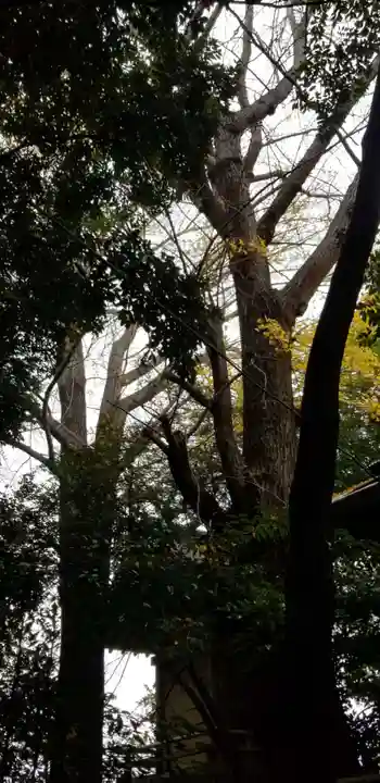 諏方神社(東京都)