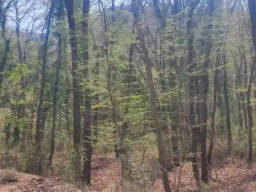 御嶽山神社（里宮）(栃木県)