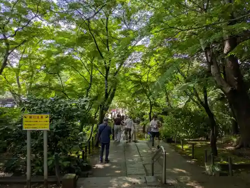 本土寺(千葉県)