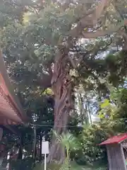 柳崎氷川神社(埼玉県)