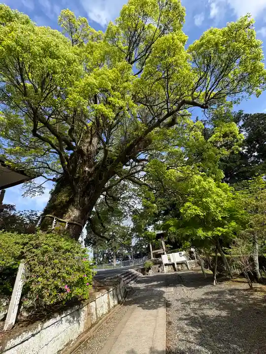 清澄寺(千葉県)