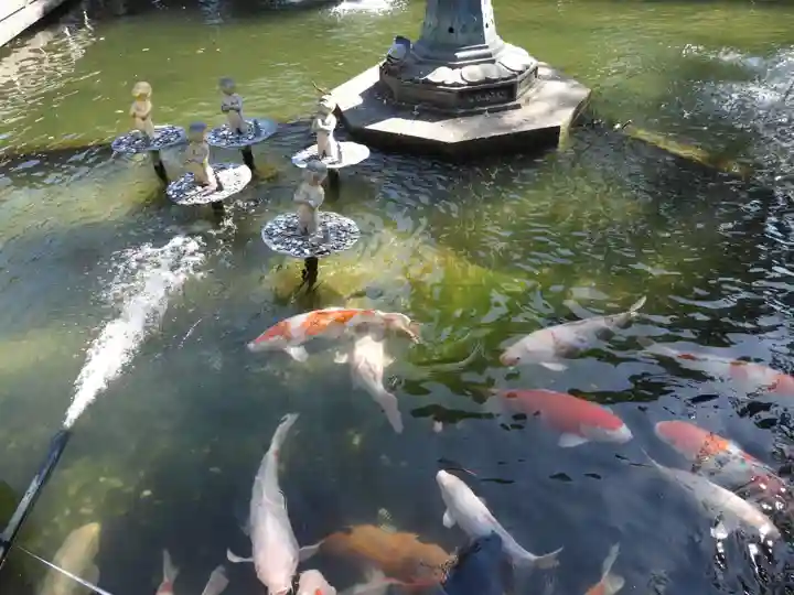 霊山寺(徳島県)