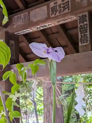 赤坂氷川神社(東京都)