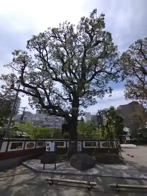 天妙国寺(東京都)