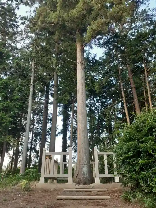 石船神社(茨城県)