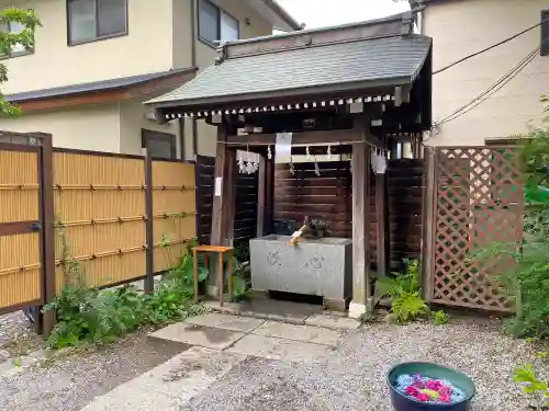 鎮守氷川神社の手水