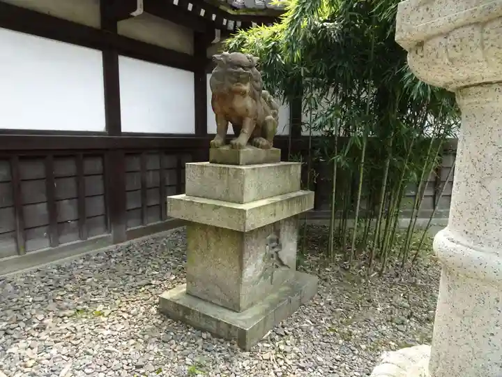 京都乃木神社の狛犬