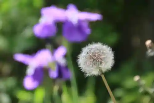 阿邪訶根神社の庭園