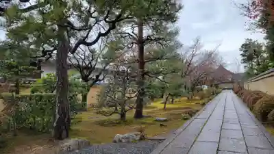 大徳寺(京都府)